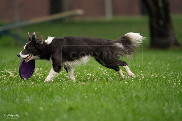 RielVisuals_20240722_192717_SJR01086