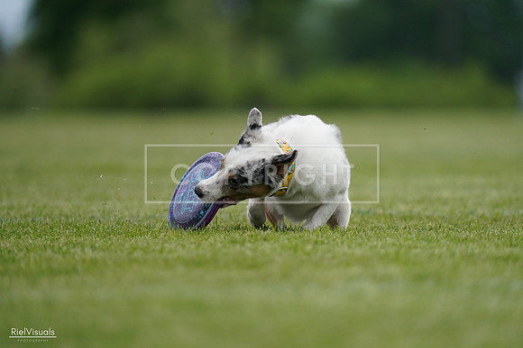 RielVisuals_20240525_161311_SJR03870