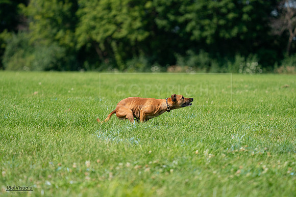 RielVisuals_20240728_102610_SJR08058
