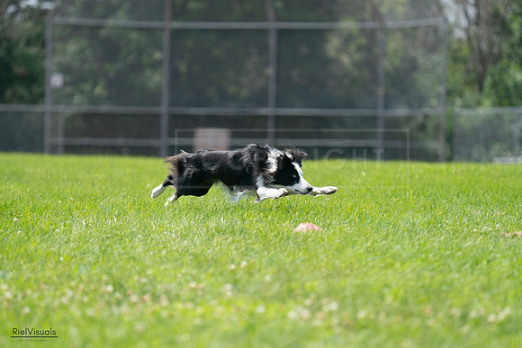 RielVisuals_20240728_130343_SJR04934