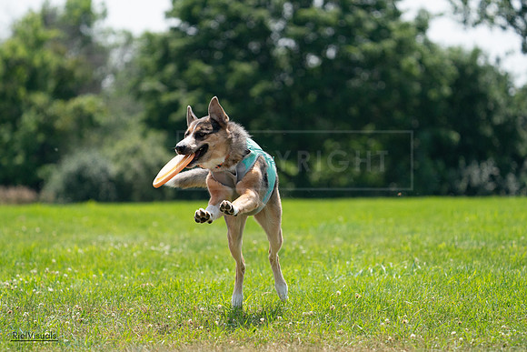 RielVisuals_20240728_140301_SJR07873
