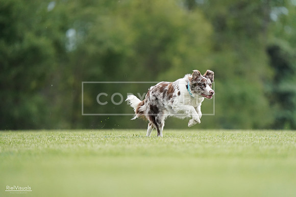 RielVisuals_20240525_161057_SJR03686