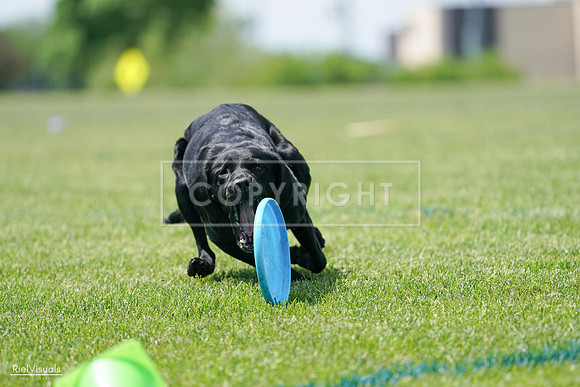 RielVisuals_20240525_121122_SJR09069