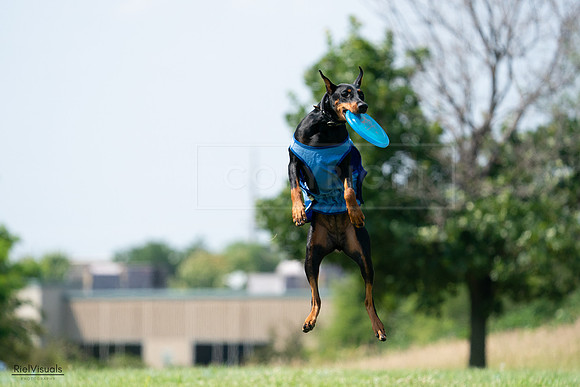 RielVisuals_20240728_145906_SJR09789