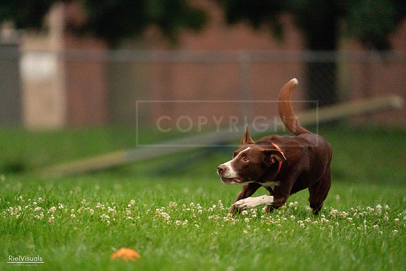 RielVisuals_20240722_203055_SJR03918
