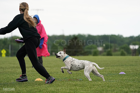 RielVisuals_20240526_090830_SJR09204