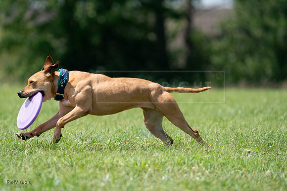 RielVisuals_20240728_142645_SJR08255