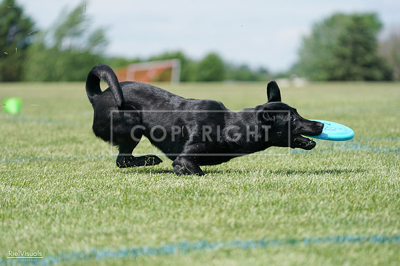 RielVisuals_20240525_123343_SJR00396