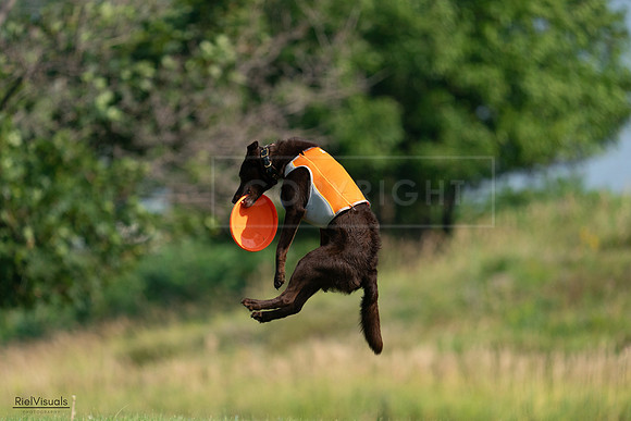 RielVisuals_20240728_095827_SJR06801