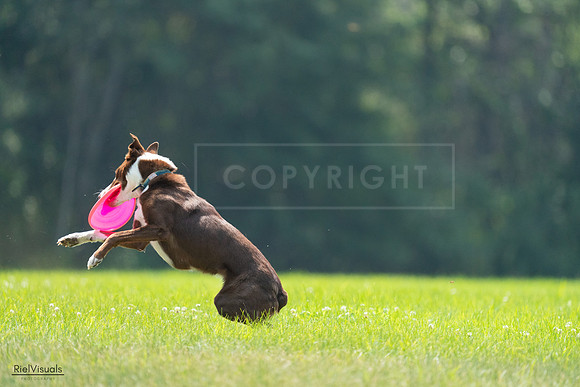 RielVisuals_20240727_122153_SJR05396