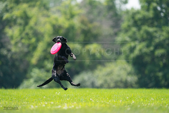 RielVisuals_20240727_125341_SJR06298