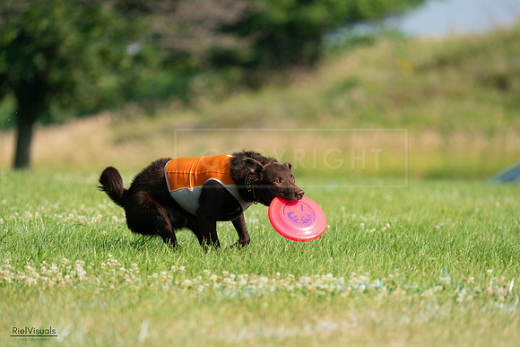 RielVisuals_20240727_092457_SJR06214