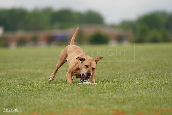 RielVisuals_20240526_135107_SJR09331