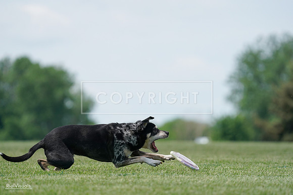 RielVisuals_20240525_123103_SJR00115