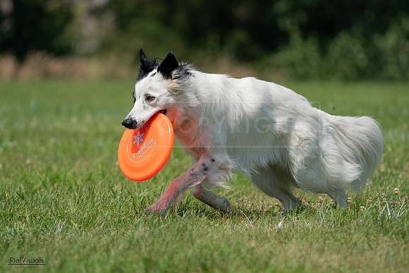 RielVisuals_20240728_121814_SJR03535