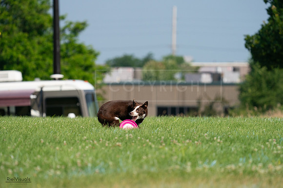 RielVisuals_20240727_095030_SJR07821