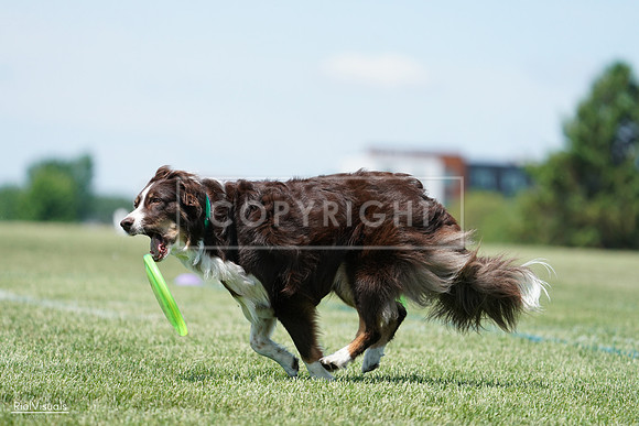 RielVisuals_20240525_120038_SJR08298
