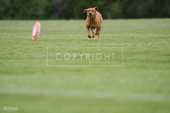 RielVisuals_20240525_165538_SJR05693