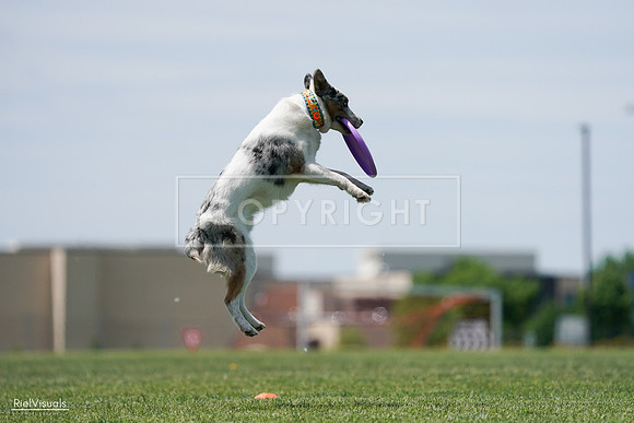 RielVisuals_20240525_121517_SJR09182