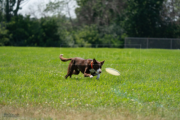 RielVisuals_20240728_133728_SJR06777