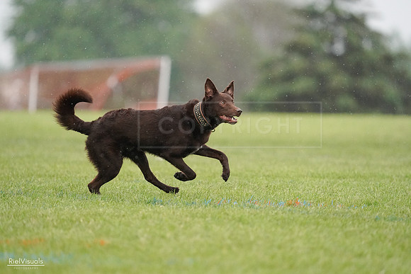 RielVisuals_20240527_103923_SJR00978