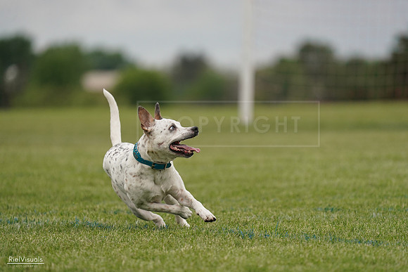 RielVisuals_20240526_134258_SJR08846
