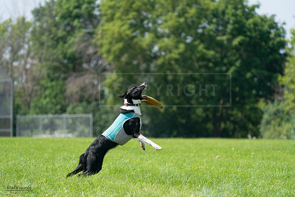 RielVisuals_20240728_115802_SJR02570