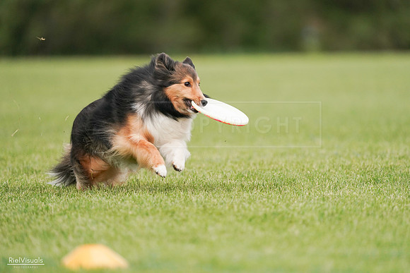 RielVisuals_20240527_140926_SJR01656